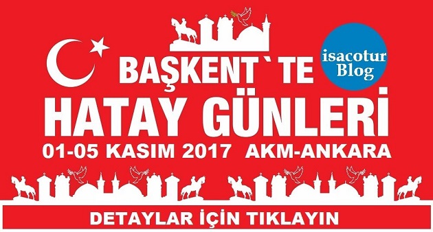 Baskette Hatay Gunleri 2017