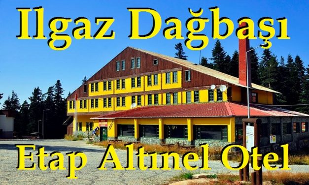 Etap Altınel Ilgaz Dağbaşı Otel