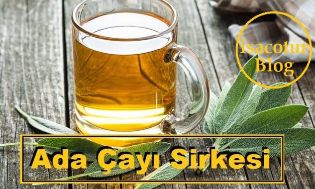 Adaçayı Sirkesi ve Adaçayı Sirkesinin Faydaları Nelerdir?