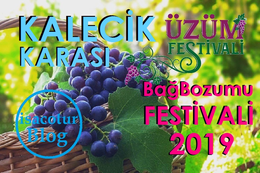 Kalecik Karası Bağbozumu Üzüm Festivali 2019