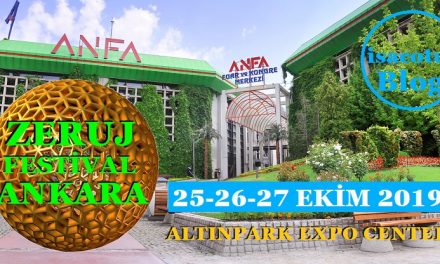 Zeruj Festival Ankara 2019