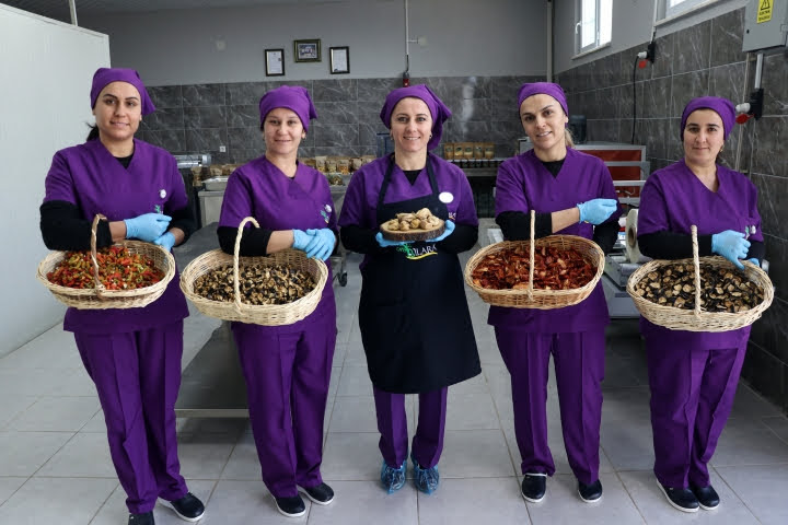 Bilara Kuru İncir Cipsi Üreteren 30 Kadına Geçim Kaynağı Oldu
