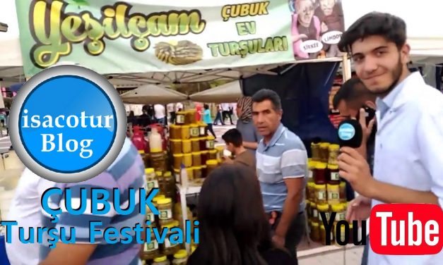 Yeşilçam Çubuk Turşuları