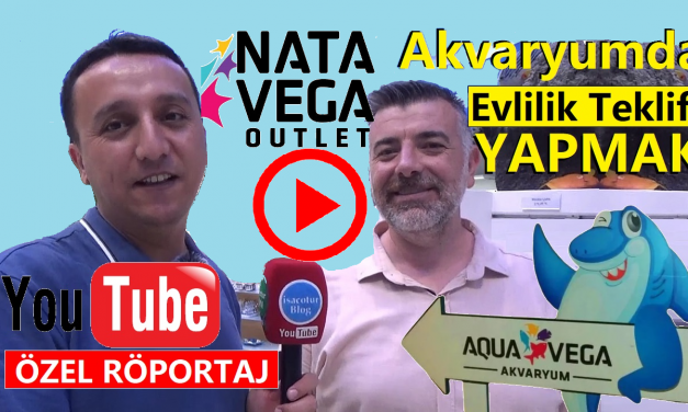 Nata Vega Akvaryumda Evlilik Teklifi Yapmak
