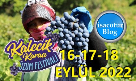 Kalecik Karası Üzüm Festivali 2022