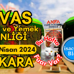 Sivas Kültür ve Yemek Şenliği Ankara 2024