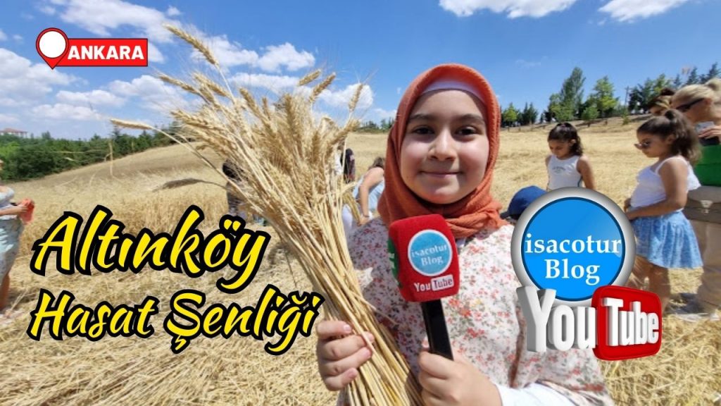 Altınköy Geleneksel Hasat Şenliği 2024