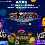 Ayaş Dut Festivali 2025