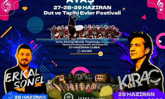 Ayaş Dut Festivali 2025