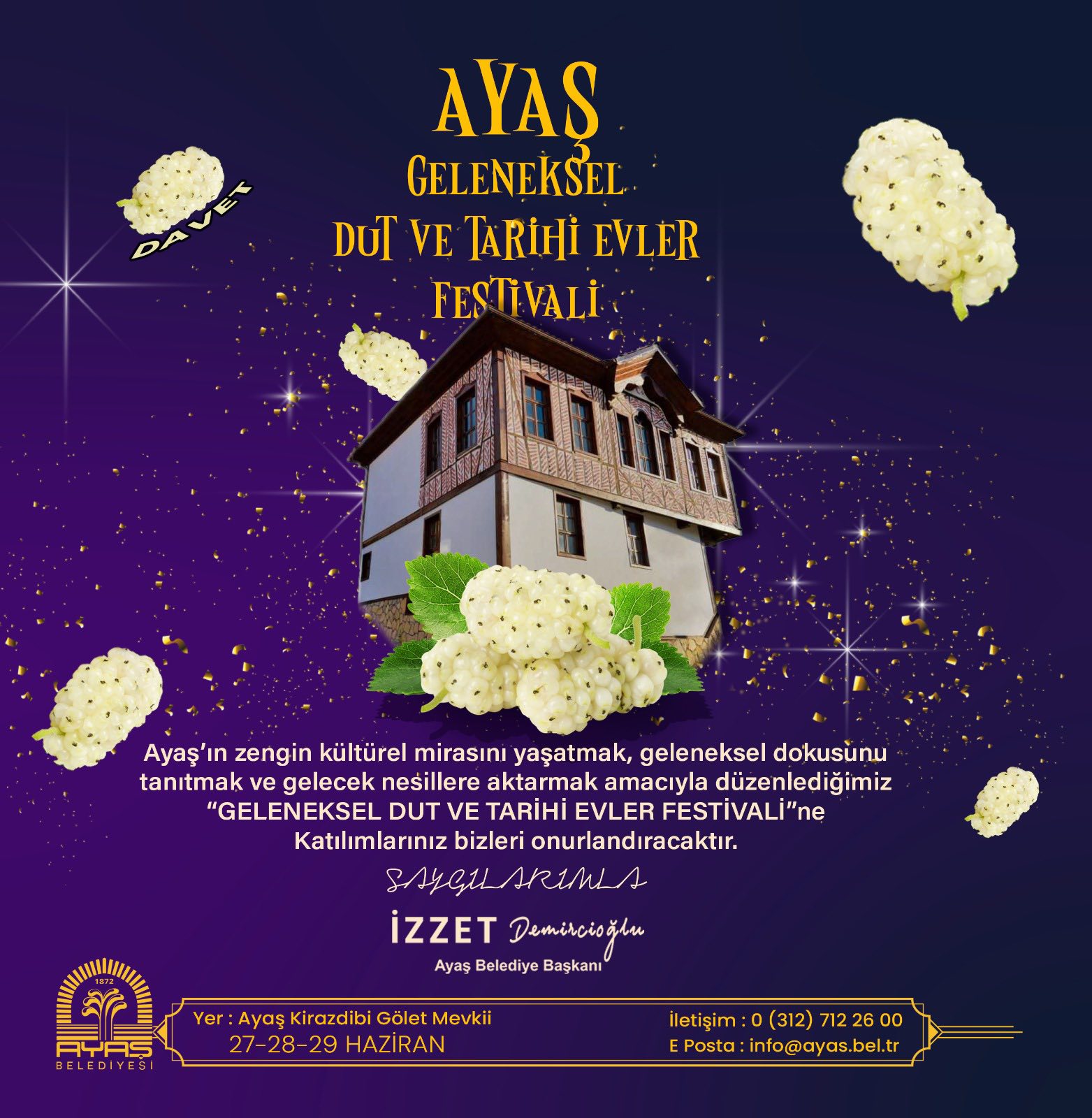Geleneksel Ayaş Dut Festivali 2025
