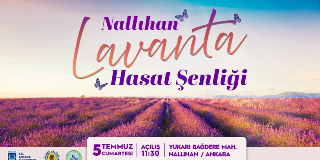 Nallıhan Lavanta Hasat Şenliği 2025