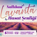 Nallıhan Lavanta Hasat Şenliği 2025