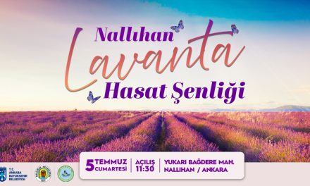 Nallıhan Lavanta Hasat Şenliği 2025