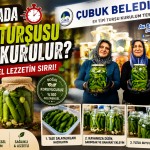 1 Dakikada Çubuk Turşusu Nasıl Kurulur?