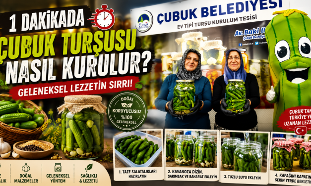 1 Dakikada Çubuk Turşusu Nasıl Kurulur?